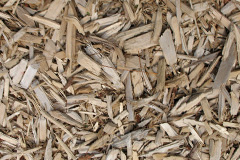 biomass boilers Treales